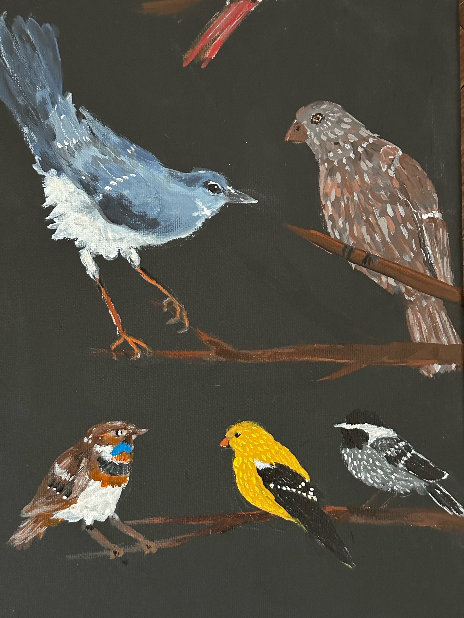 Ornithologists, this one’s for you