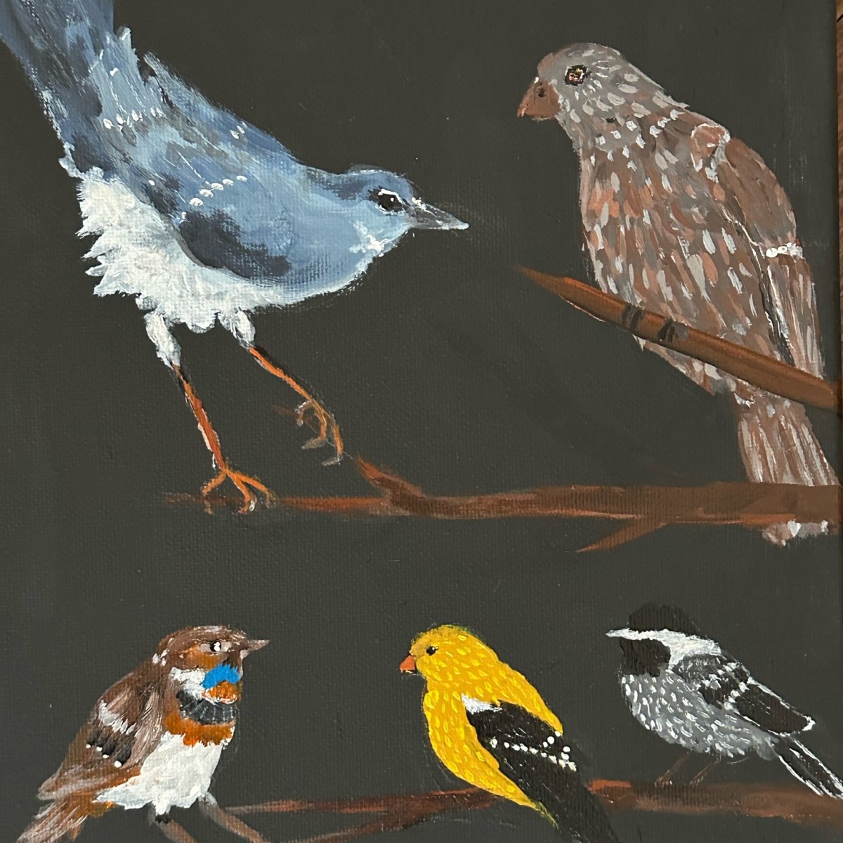 Ornithologists, this one’s for&nbsp;you